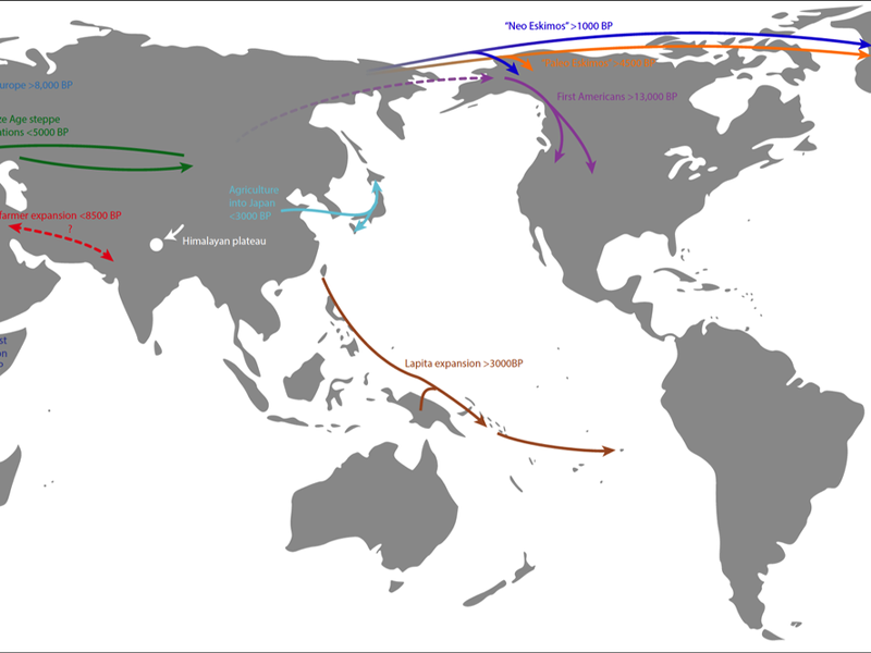 DNA Evidence of Ancient Migrations: Explore Old Connections